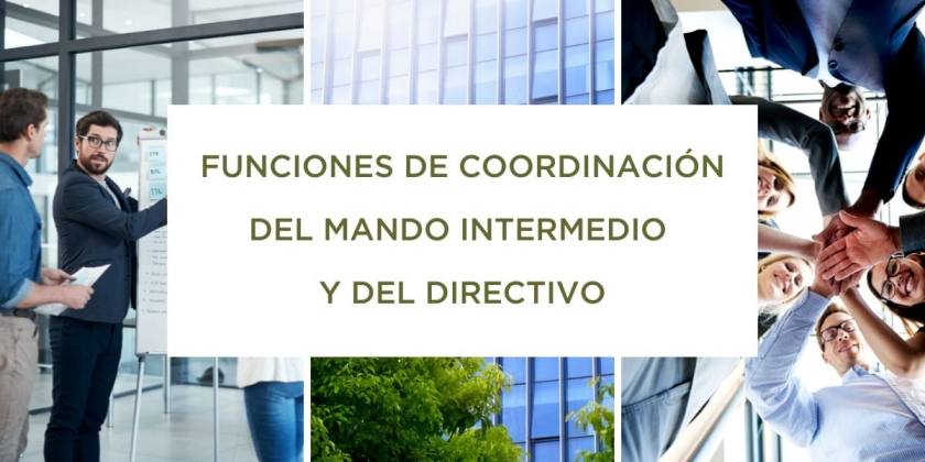 Diferencias entre un mando intermedio y un directivo