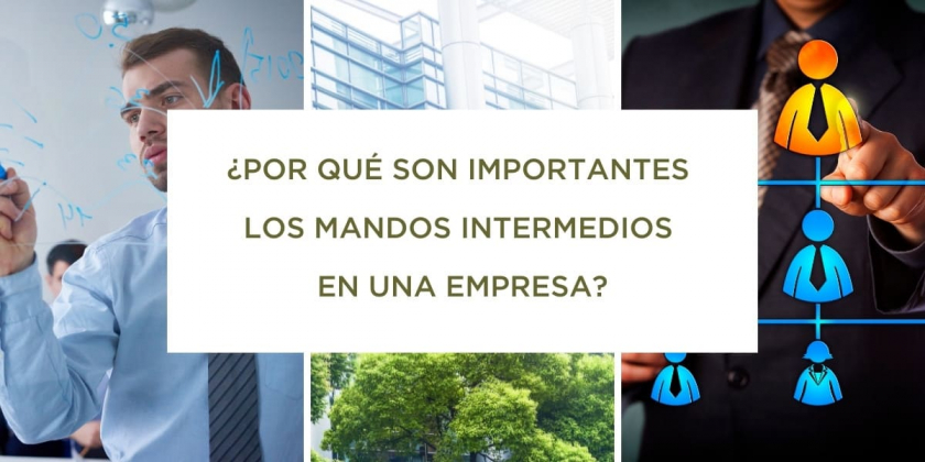 ¿Qué es un mando intermedio y cuáles son sus funciones?