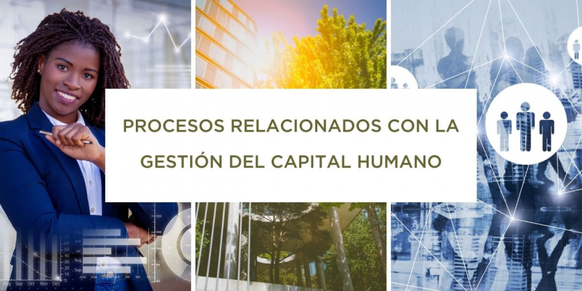 procesos gestion capital humano